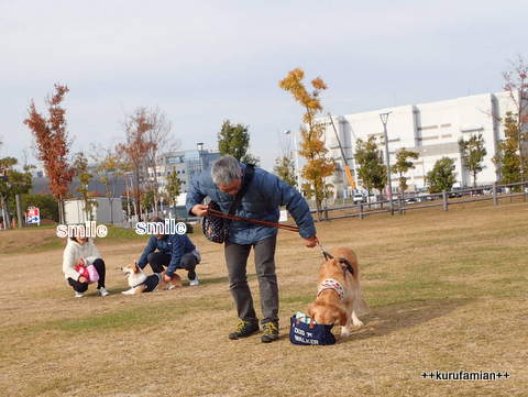 しつけ教室 お外編(^▽^)/_b0101116_12292634.jpg