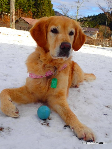 2017-2018 雪遊び はじめました。_b0101116_12292808.jpg