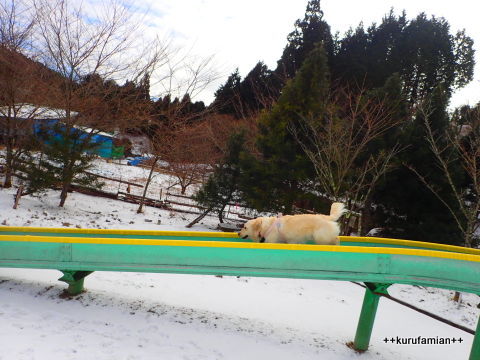 2017-2018 雪遊び はじめました。_b0101116_12292837.jpg