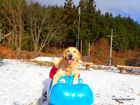 2017-2018 雪遊び はじめました。_b0101116_12292882.jpg