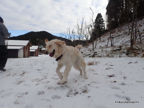 2017-2018 雪遊び はじめました。_b0101116_12292911.jpg