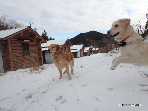 2017-2018 雪遊び はじめました。_b0101116_12292945.jpg