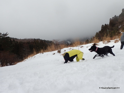 わいわい雪遊びともぐもぐカニ_b0101116_12293043.jpg