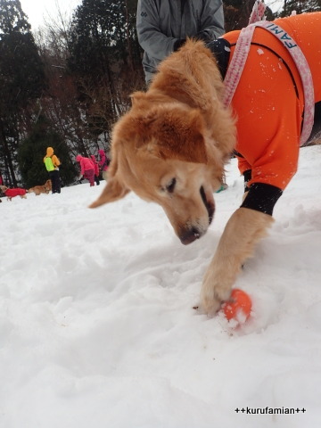 わいわい雪遊びともぐもぐカニ_b0101116_12293428.jpg