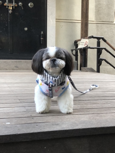 猛暑だったり台風だったりな夏 (2018)_e0352281_22260248.jpeg