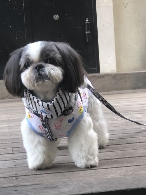 猛暑だったり台風だったりな夏 (2018)_e0352281_22262665.jpeg