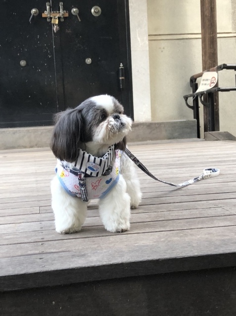 猛暑だったり台風だったりな夏 (2018)_e0352281_22271343.jpeg