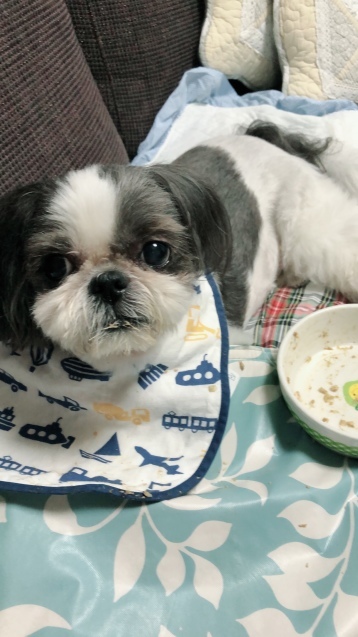 猛暑だったり台風だったりな夏 (2018)_e0352281_22282040.jpeg