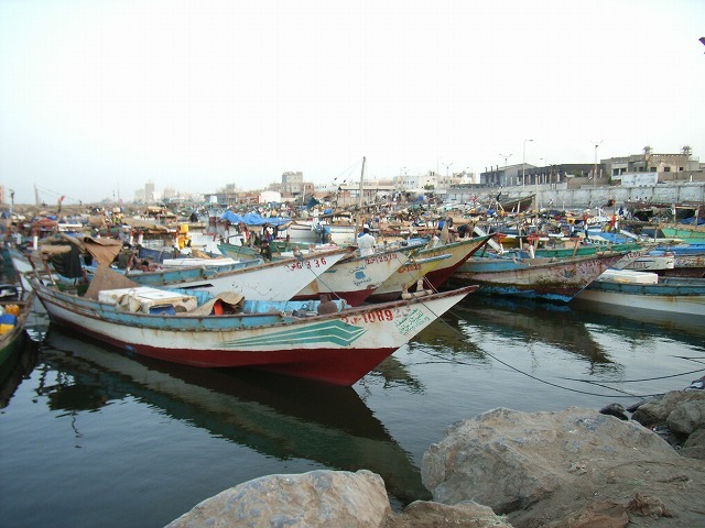 私の幸福のアラビア「イエメン」は今 飢餓とコレラに苦しんでいる!_b0287088_20405854.jpg