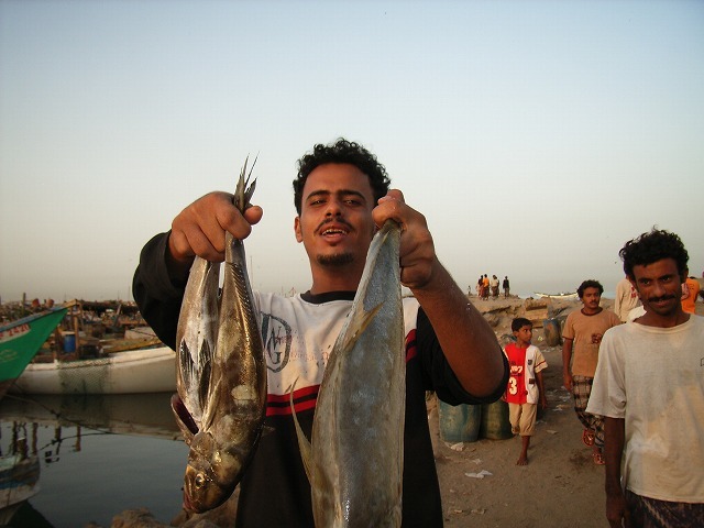 私の幸福のアラビア「イエメン」は今 飢餓とコレラに苦しんでいる!_b0287088_20412114.jpg