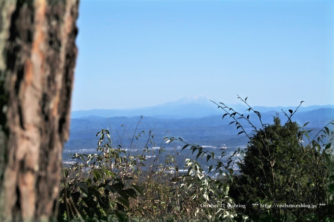 10月のひとり山歩き アケボノソウを求めて_e0348754_08112522.jpg