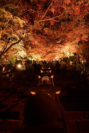 神奈川県 大山紅葉散策_f0110195_19414962.jpg