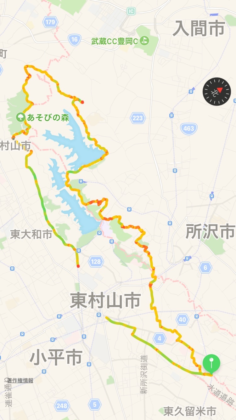 春の狭山湖散輪_e0406281_22305311.jpg