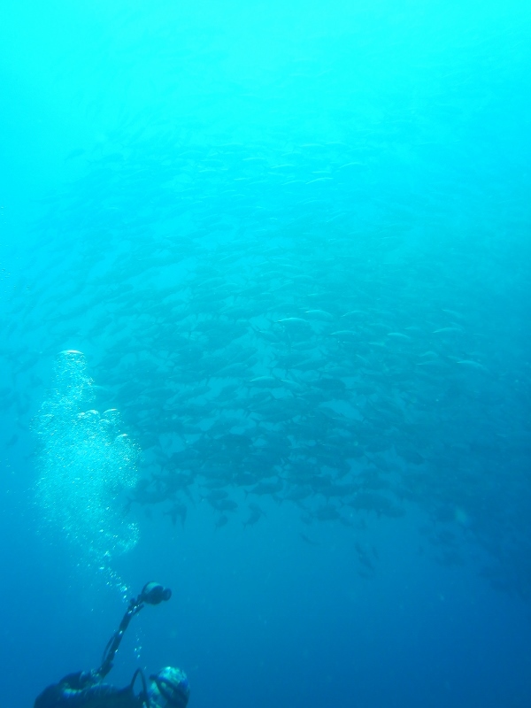 2019年8月 バリカサグ旅行④_b0287241_12202043.jpg