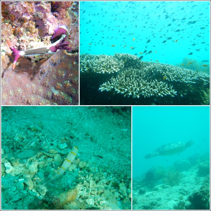 2019年8月 バリカサグ旅行④_b0287241_12223783.jpg