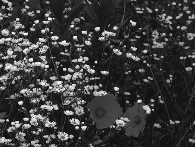 Alone Again_c0351306_09203114.jpg