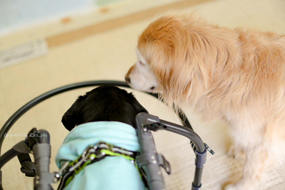 # 愛しい時間が続きますように_b0181125_11324159.jpg