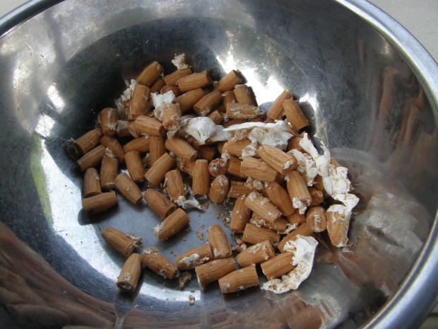 二夏 (ふたなつ)_e0017396_01083632.jpg