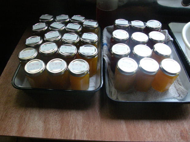 6月は 収穫のとき _e0017396_22042882.jpg