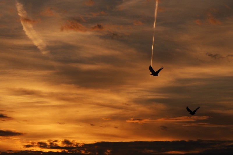 let\'s go home_b0326576_19140450.jpg