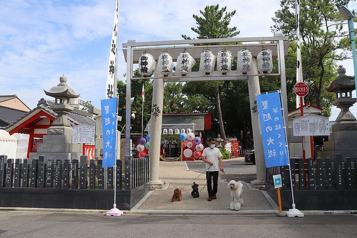 映える!別小江神社。_b0111376_14424191.jpg