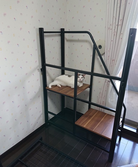 6月25日 林間学校_c0094358_15334160.jpg