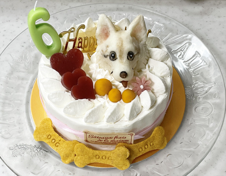 ♪ シマー 6th Birthday ♪_c0161772_01260257.jpg