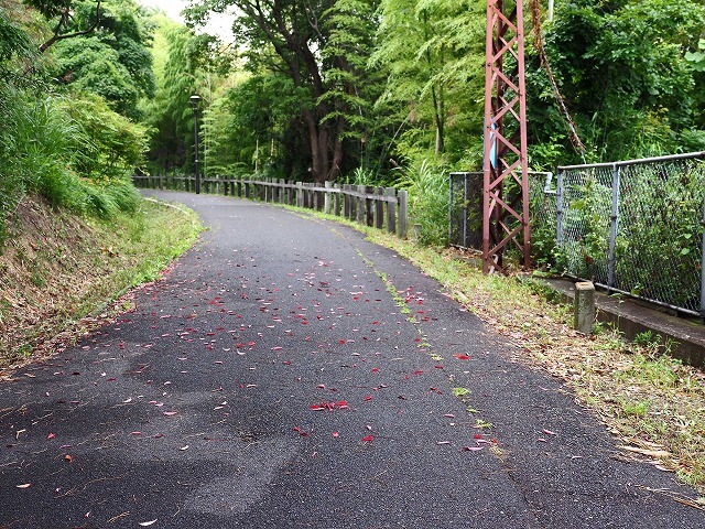 風の道・3/3 (7月3日)_a0242438_19402810.jpg