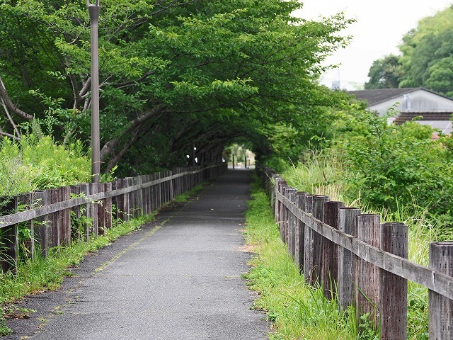 風の道・3/3 (7月3日)_a0242438_19404364.jpg
