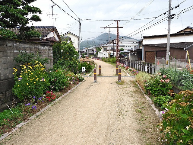 風の道・3/3 (7月3日)_a0242438_19405616.jpg