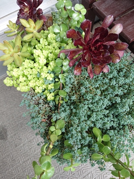 Circle within Circle のトートバッグ 2_a0122205_13444576.jpg