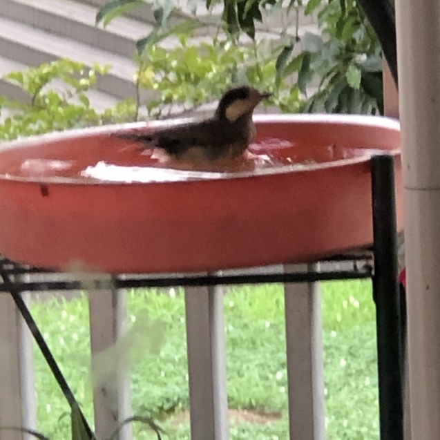 暑い あつい_e0407040_21542517.jpg