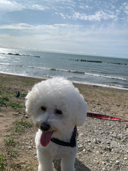 やっとの 晴れ間_f0114128_10463731.jpg