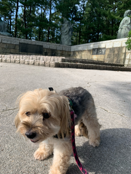 やっとの 晴れ間_f0114128_10464419.jpg