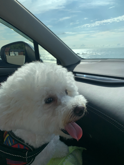 やっとの 晴れ間_f0114128_10465217.jpg