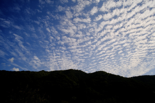 FUJI X-E4 「ポチッ!」_d0047078_18514686.jpg