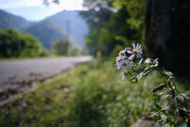 FUJI X-E4 「ポチッ!」_d0047078_18580882.jpg