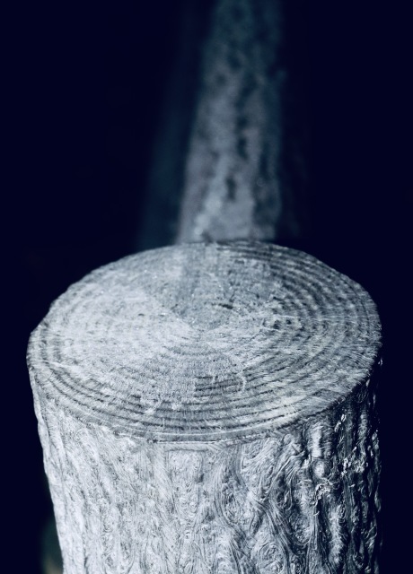 箱根駅伝。。。 ! !_b0416666_19350947.jpg