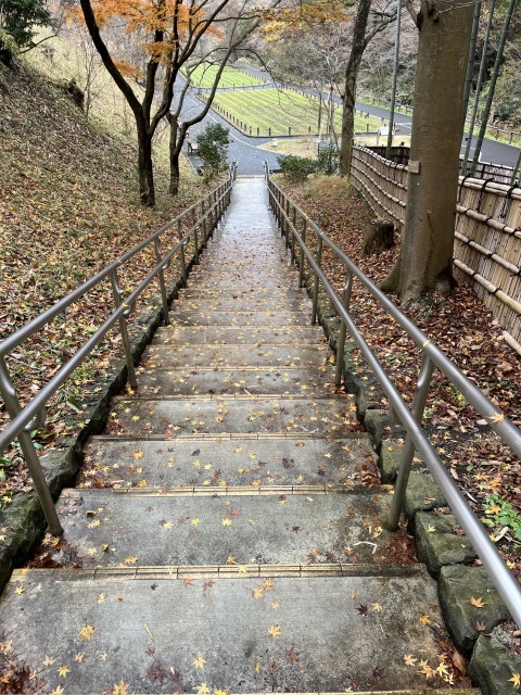 箱根駅伝。。。 ! !_b0416666_19371282.jpeg