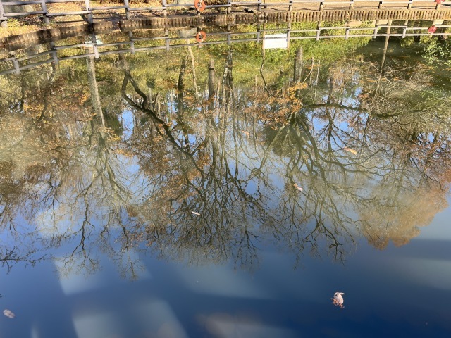 箱根駅伝。。。 ! !_b0416666_19535126.jpeg