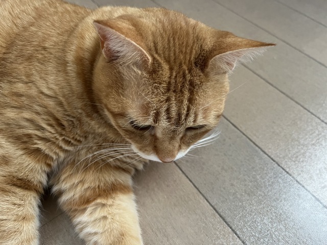 箱根駅伝。。。 ! !_b0416666_19582422.jpeg