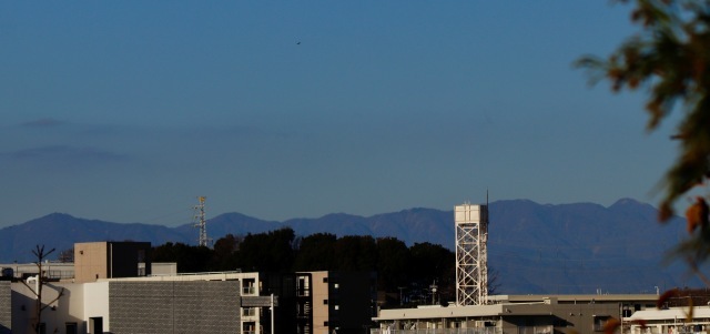 箱根駅伝。。。 ! !_b0416666_15244212.jpg