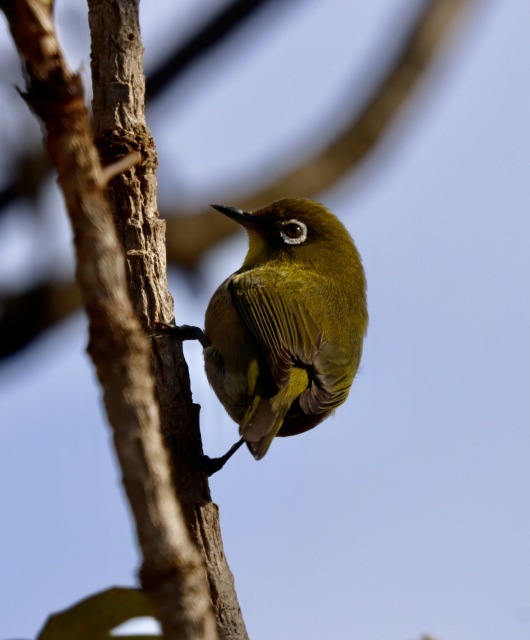 箱根駅伝。。。 ! !_b0416666_15263688.jpg