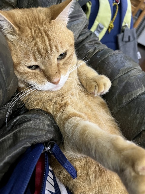 箱根駅伝。。。 ! !_b0416666_15303048.jpeg