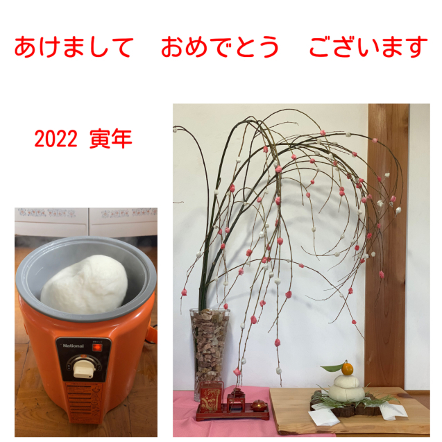 今年もよろしくね_f0088647_10134267.jpg