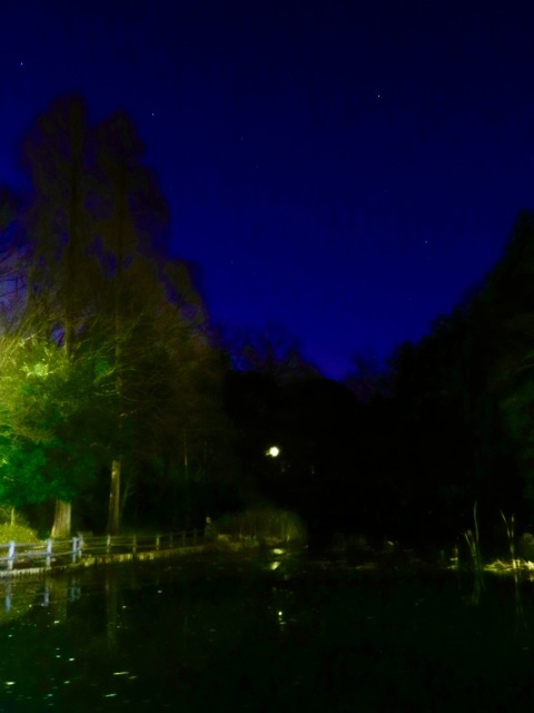 しぶんぎ座流星群 。。。 ! !_b0416666_15335489.jpg