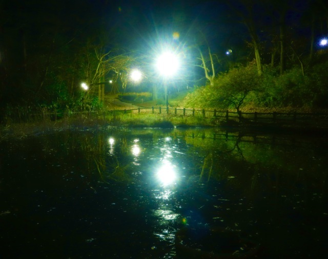 しぶんぎ座流星群 。。。 ! !_b0416666_15343628.jpg