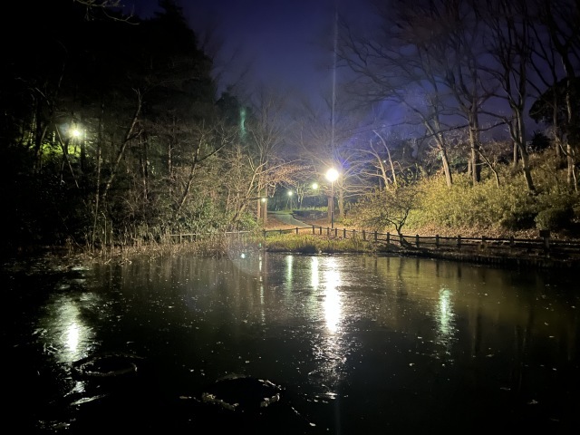 カメラ 修理 。。。 ! !_b0416666_19512626.jpeg