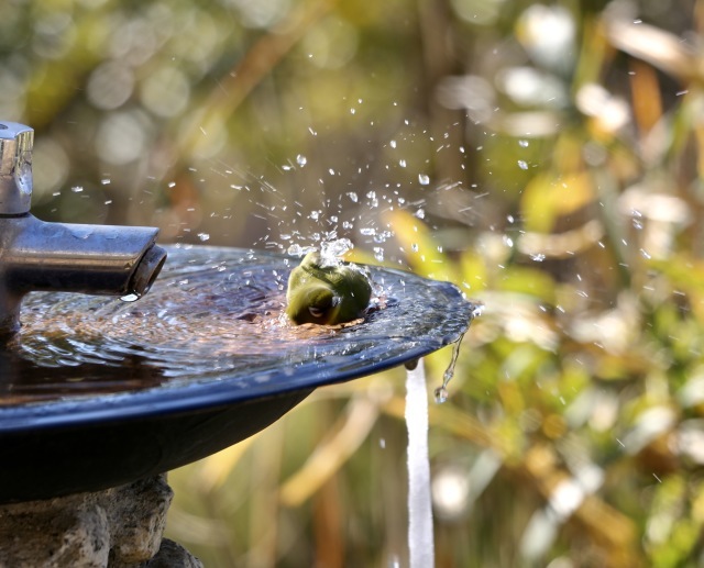 カメラ 修理 。。。 ! !_b0416666_19584961.jpg