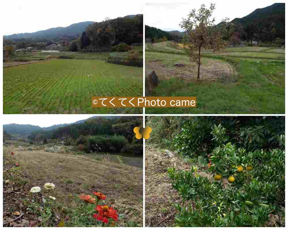 奈良県桜井市粟原の二つの物語(おおはら おうばら)_b0410026_11242507.jpg